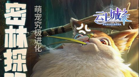 球队管理界面