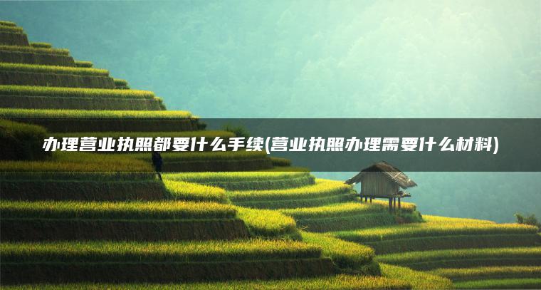 办理营业执照都要什么手续(营业执照办理需要什么材料)
