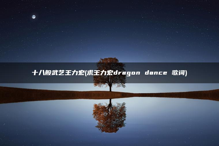 十八般武艺王力宏(求王力宏dragon dance 歌词)