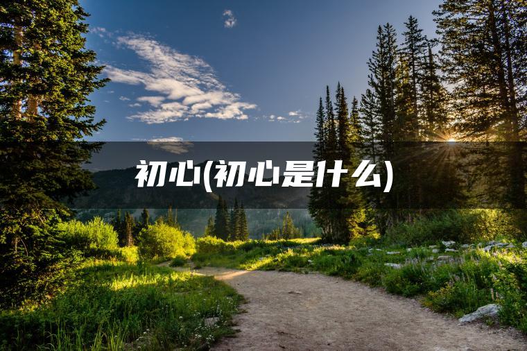 初心(初心是什么)