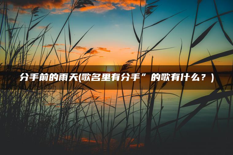 分手前的雨天(歌名里有分手”的歌有什么？)