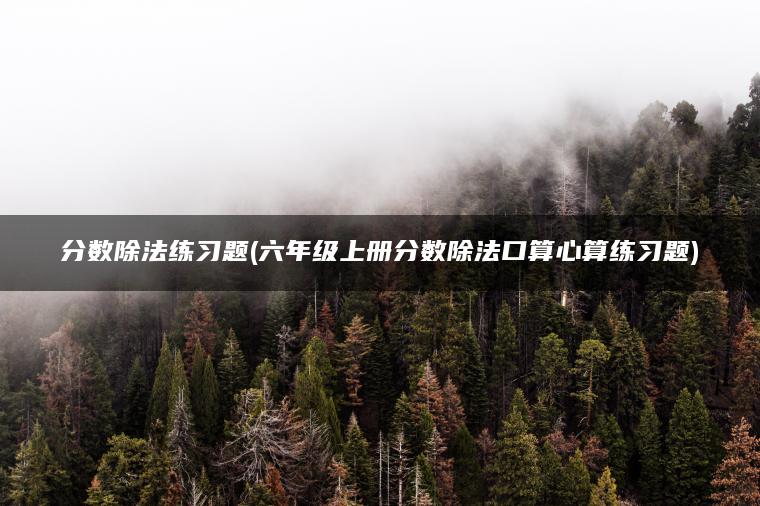 分数除法练习题(六年级上册分数除法口算心算练习题)