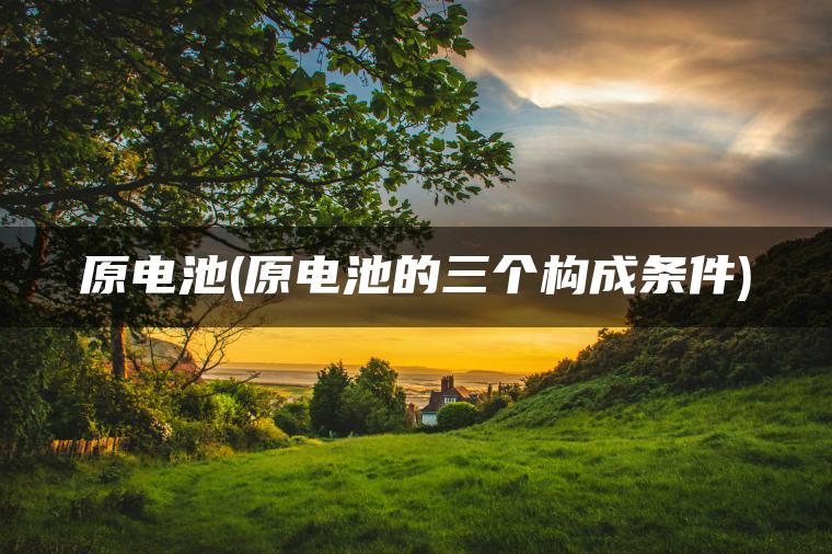原电池(原电池的三个构成条件)