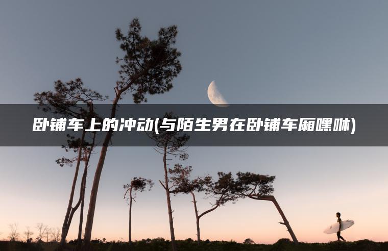 卧铺车上的冲动(与陌生男在卧铺车厢嘿咻)