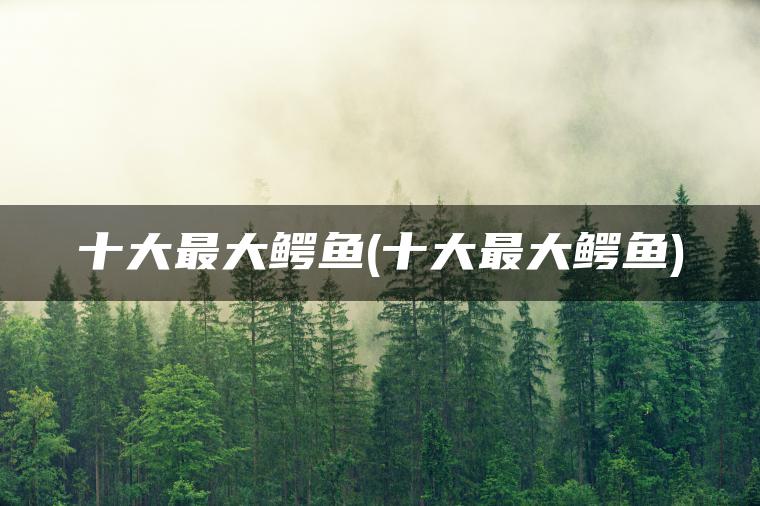 十大最大鳄鱼(十大最大鳄鱼)