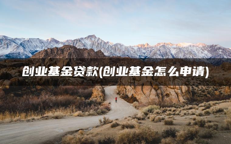 创业基金贷款(创业基金怎么申请)