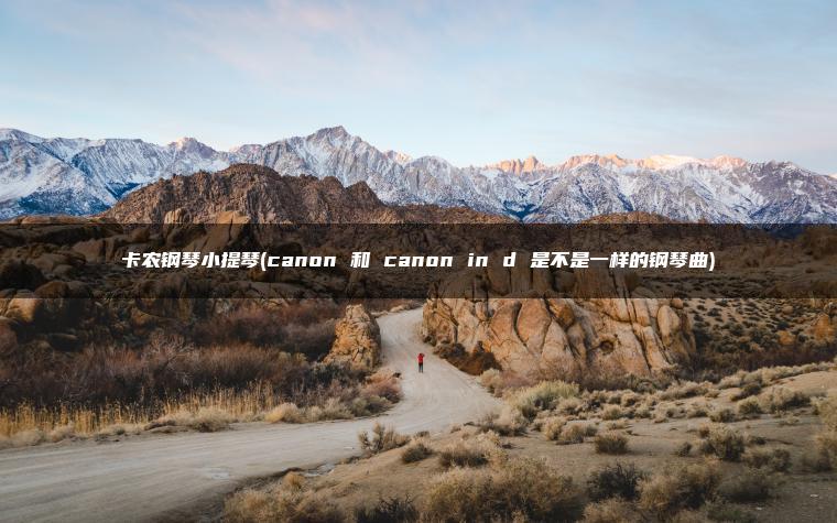 卡农钢琴小提琴(canon 和 canon in d 是不是一样的钢琴曲)