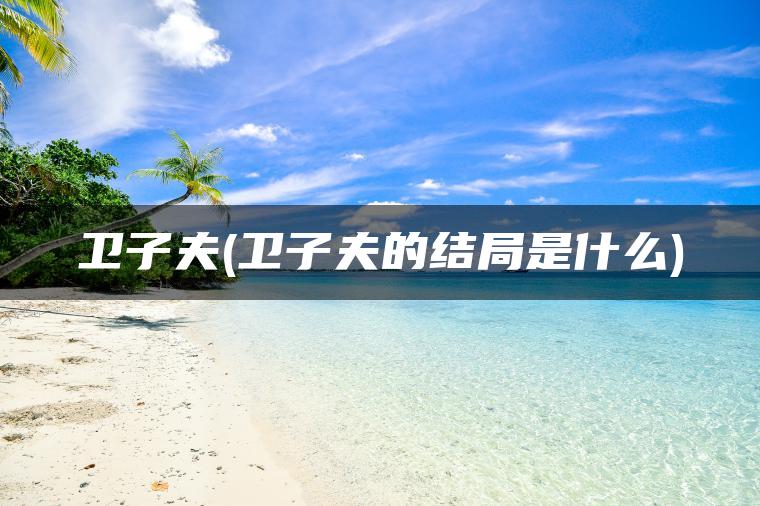 卫子夫(卫子夫的结局是什么)