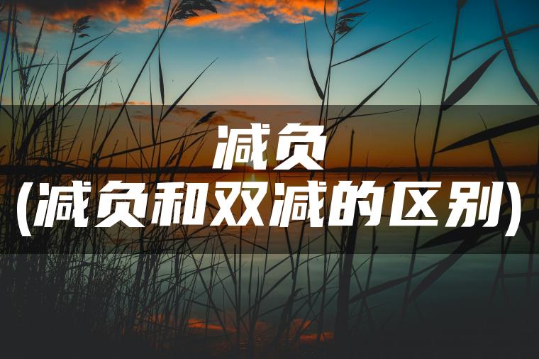 减负(减负和双减的区别)