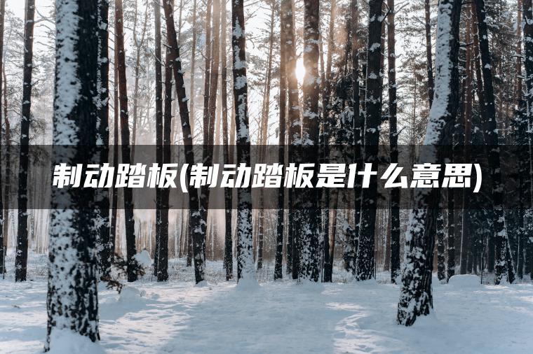 制动踏板(制动踏板是什么意思)