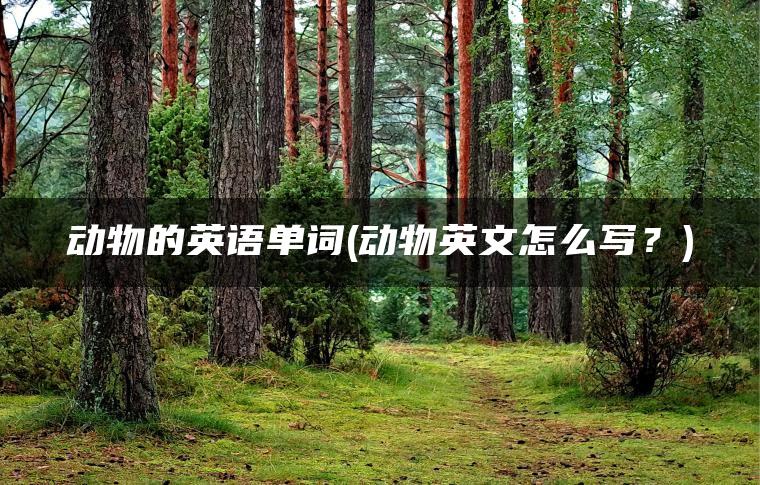 动物的英语单词(动物英文怎么写？)
