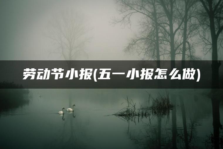 劳动节小报(五一小报怎么做)