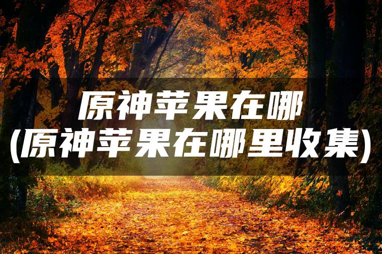 原神苹果在哪(原神苹果在哪里收集)