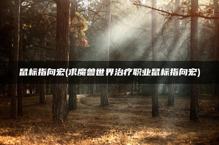 鼠标指向宏(求魔兽世界治疗职业鼠标指向宏)
