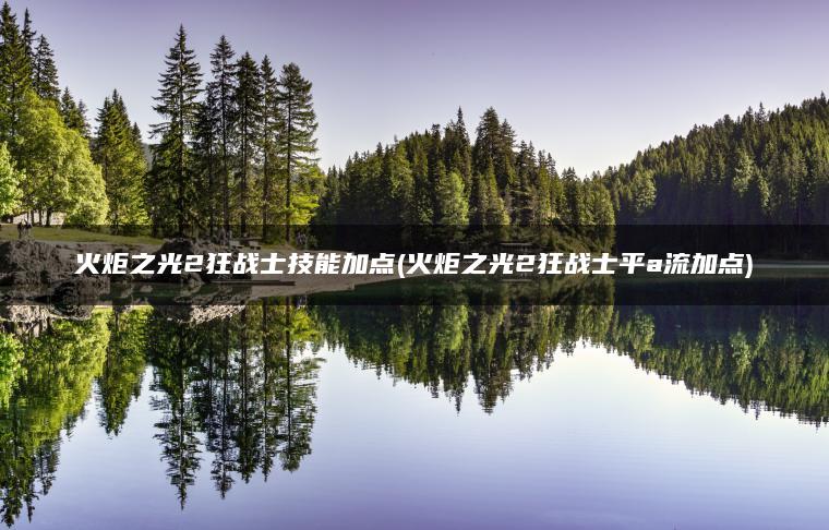 火炬之光2狂战士技能加点(火炬之光2狂战士平a流加点)