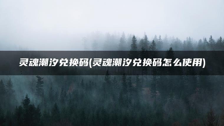 灵魂潮汐兑换码(灵魂潮汐兑换码怎么使用)
