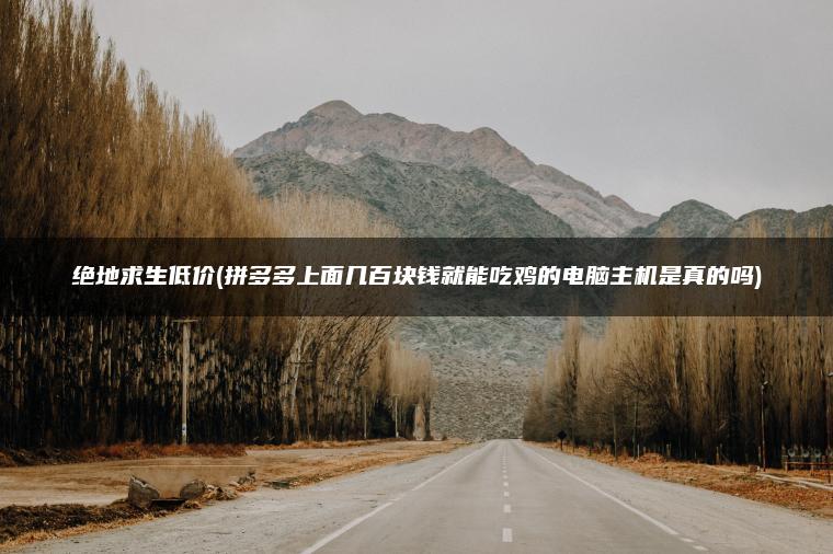 绝地求生低价(拼多多上面几百块钱就能吃鸡的电脑主机是真的吗)
