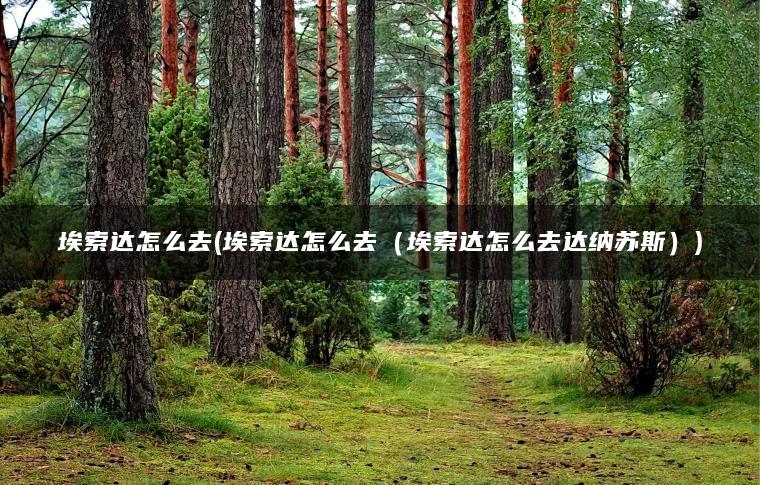 埃索达怎么去(埃索达怎么去（埃索达怎么去达纳苏斯）)