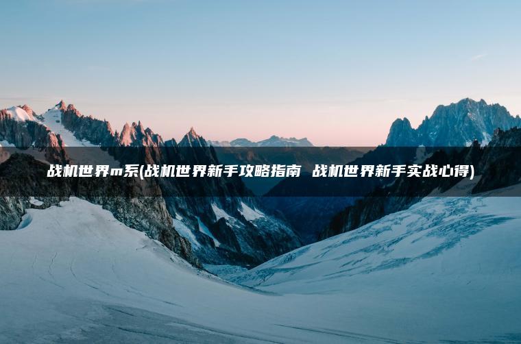 战机世界m系(战机世界新手攻略指南 战机世界新手实战心得)