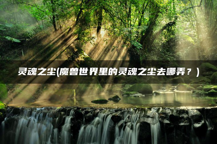 灵魂之尘(魔兽世界里的灵魂之尘去哪弄？)