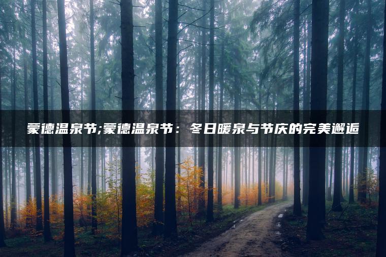 蒙德温泉节;蒙德温泉节：冬日暖泉与节庆的完美邂逅