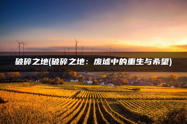破碎之地(破碎之地：废墟中的重生与希望)