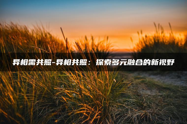 异相需共照-异相共照：探索多元融合的新视野