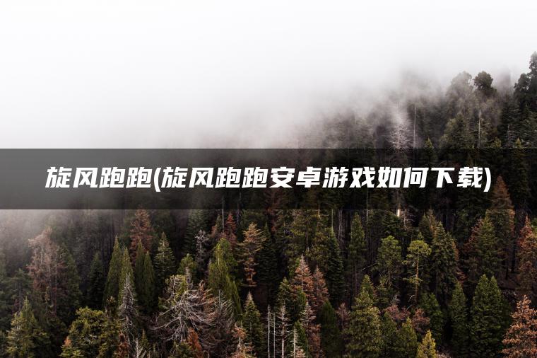 旋风跑跑(旋风跑跑安卓游戏如何下载)
