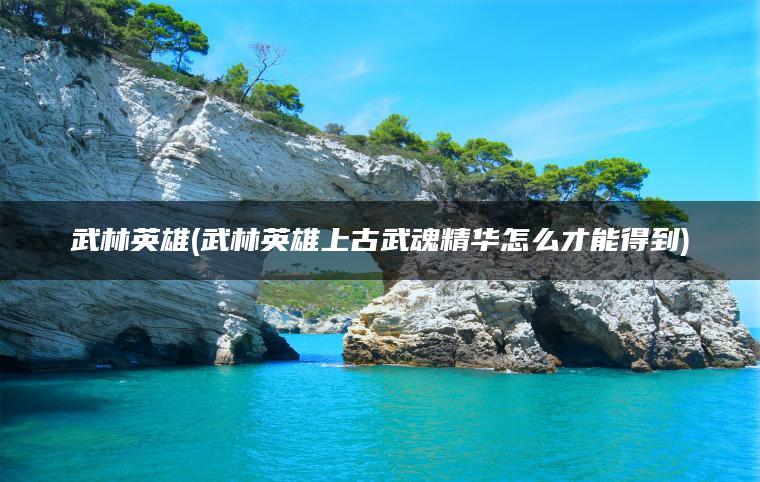 武林英雄(武林英雄上古武魂精华怎么才能得到)