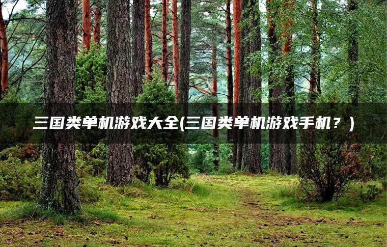 三国类单机游戏大全(三国类单机游戏手机？)
