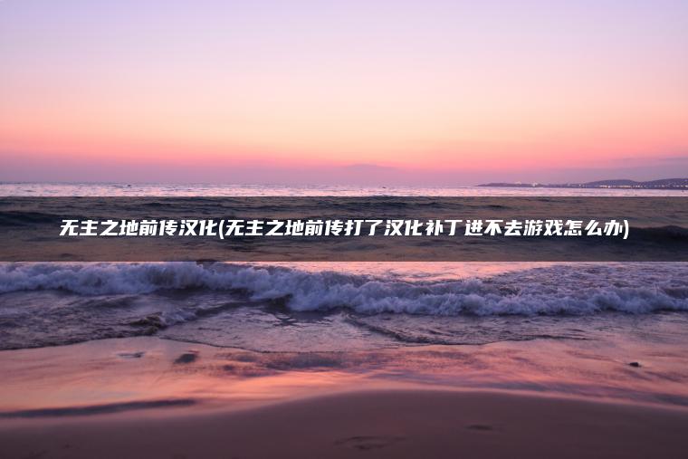 无主之地前传汉化(无主之地前传打了汉化补丁进不去游戏怎么办)
