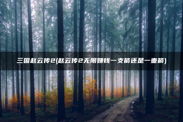 三国赵云传2(赵云传2无限赚钱一支箭还是一壶箭)