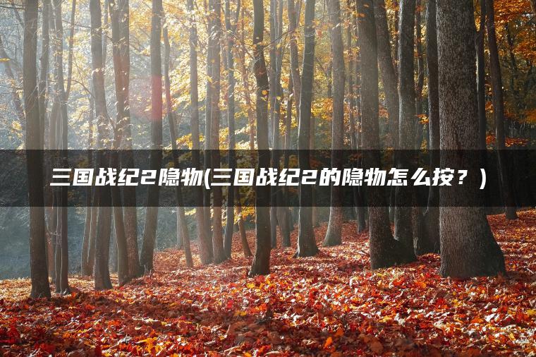三国战纪2隐物(三国战纪2的隐物怎么按？)