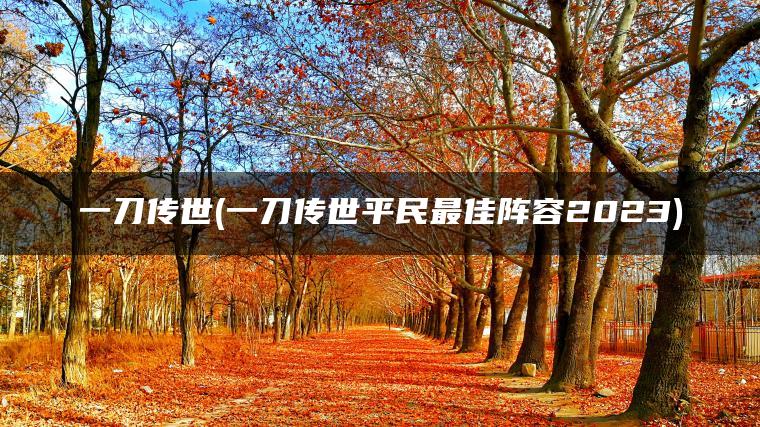 一刀传世(一刀传世平民最佳阵容2023)