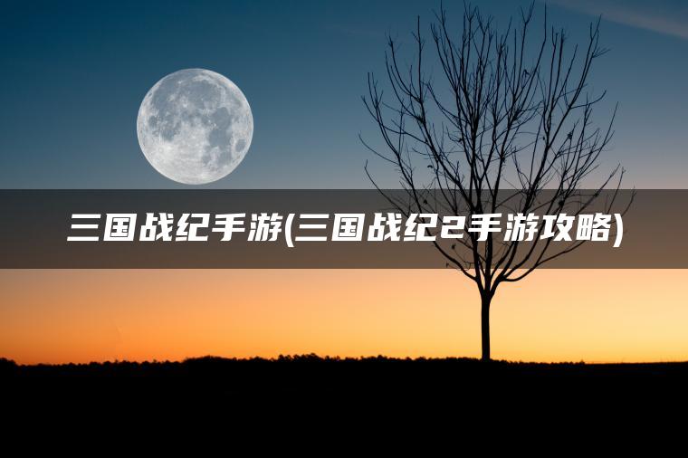 三国战纪手游(三国战纪2手游攻略)