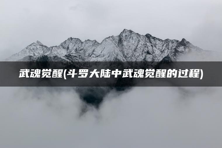 武魂觉醒(斗罗大陆中武魂觉醒的过程)