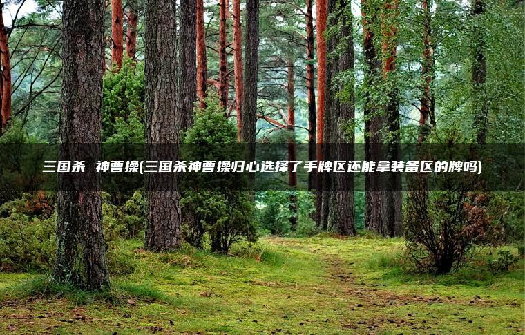 三国杀 神曹操(三国杀神曹操归心选择了手牌区还能拿装备区的牌吗)