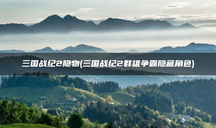 三国战纪2隐物(三国战纪2群雄争霸隐藏角色)