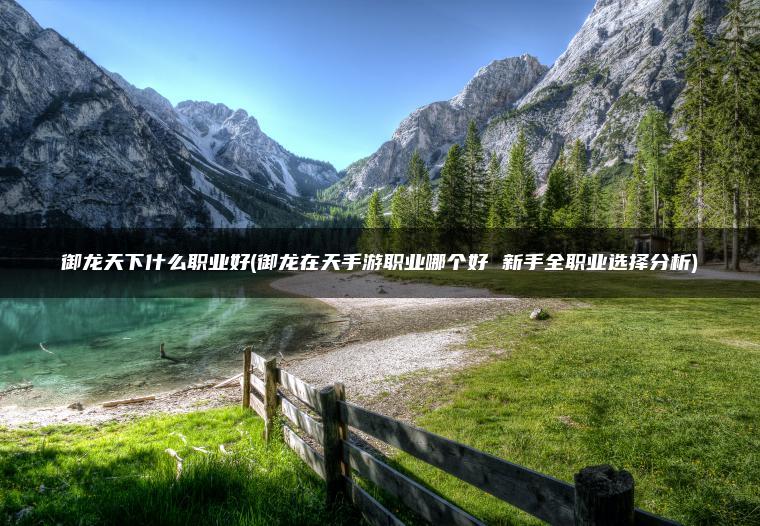 御龙天下什么职业好(御龙在天手游职业哪个好 新手全职业选择分析)