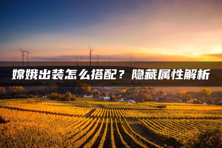 嫦娥出装怎么搭配？隐藏属性解析