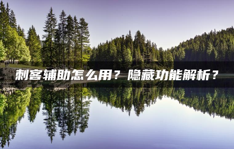 刺客辅助怎么用？隐藏功能解析？