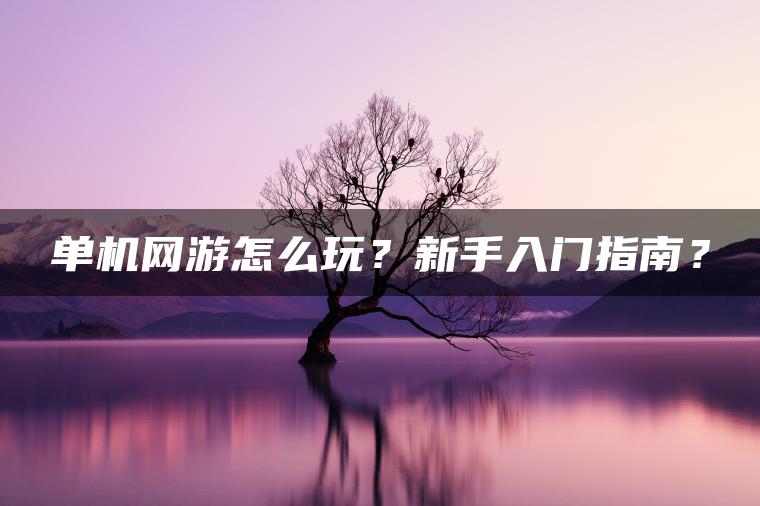 单机网游怎么玩？新手入门指南？