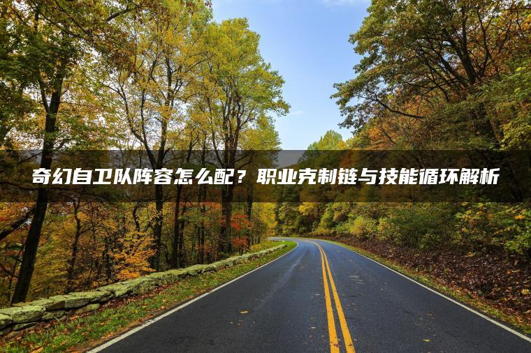 奇幻自卫队阵容怎么配？职业克制链与技能循环解析