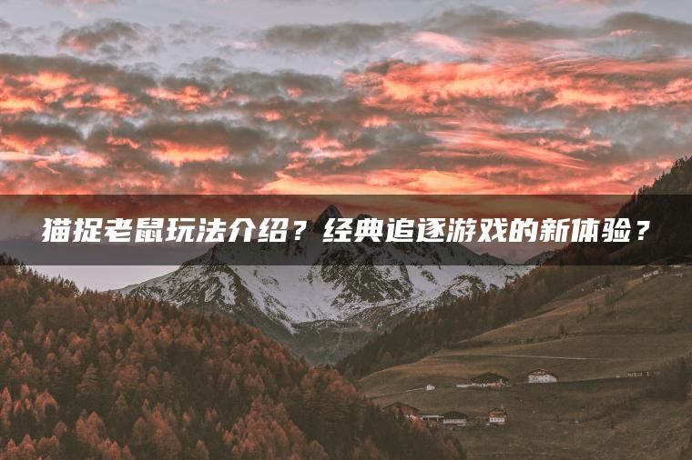 猫捉老鼠玩法介绍？经典追逐游戏的新体验？