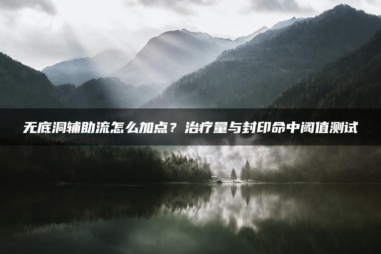 无底洞辅助流怎么加点？治疗量与封印命中阈值测试