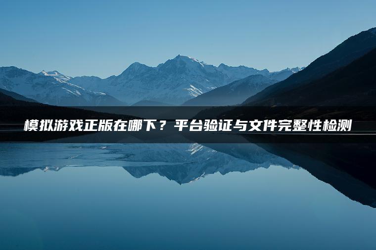 模拟游戏正版在哪下？平台验证与文件完整性检测