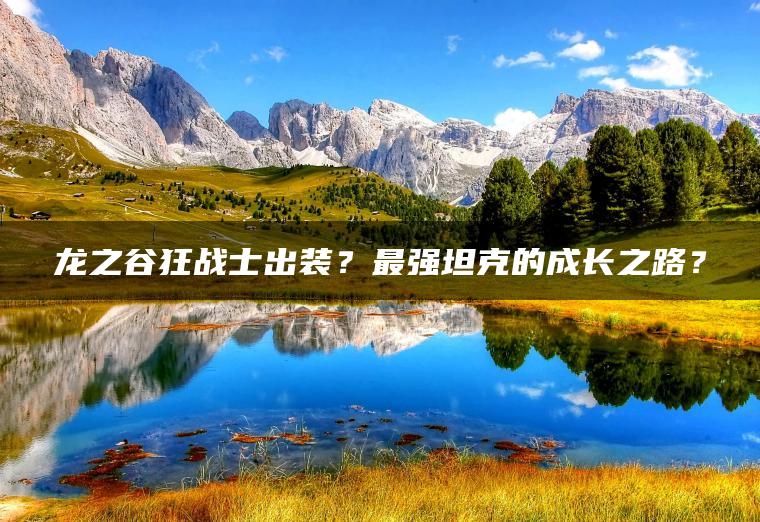 龙之谷狂战士出装？最强坦克的成长之路？