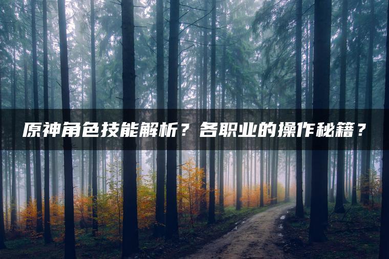 原神角色技能解析？各职业的操作秘籍？