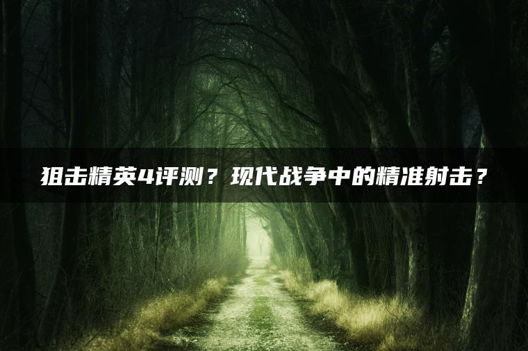 狙击精英4评测？现代战争中的精准射击？