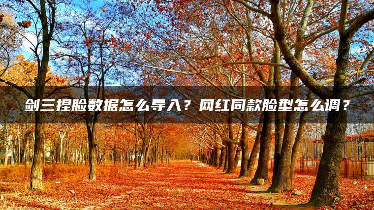 剑三捏脸数据怎么导入？网红同款脸型怎么调？